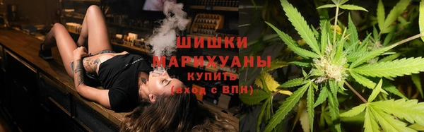 гидра Наволоки