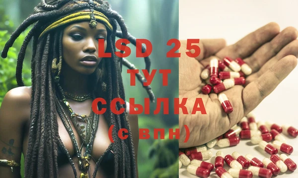 гидра Наволоки