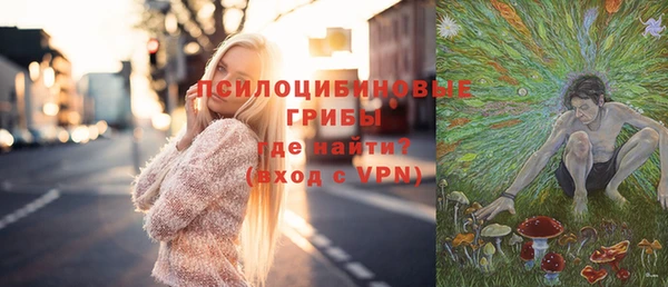 гидра Наволоки