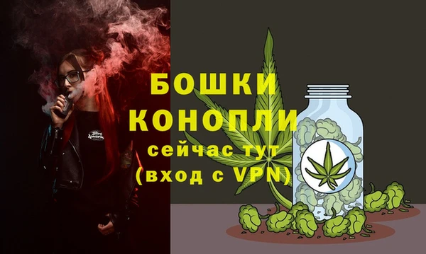 гидра Наволоки