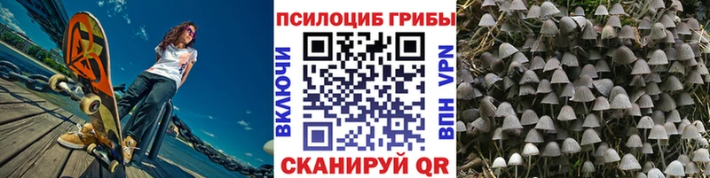 сколько стоит  дарк нет наркотические препараты  Галлюциногенные грибы Cubensis  Пойковский 